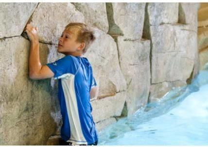 Soaring Eagle Waterpark And Hotel Mount Pleasant Buitenkant foto